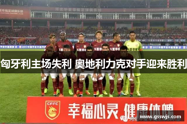 匈牙利主场失利 奥地利力克对手迎来胜利